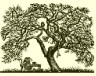 link to appletree website